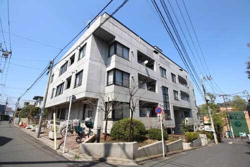Main Image