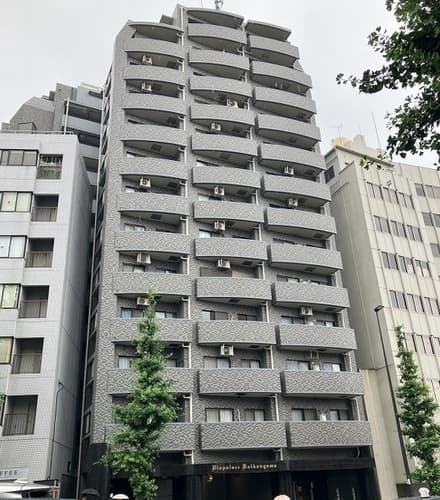 Main Image