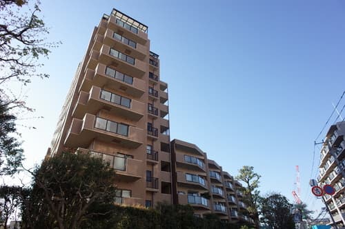 Main Image