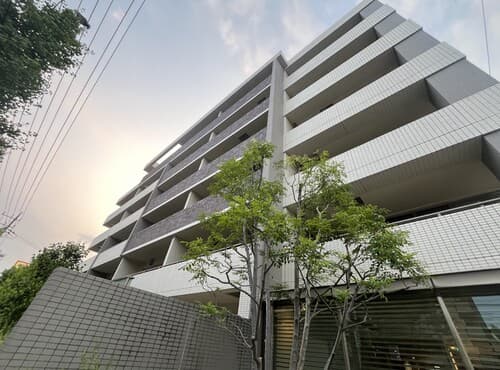 Main Image