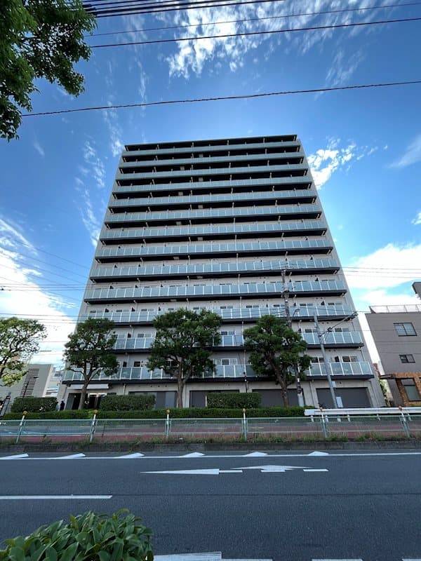 Main Image