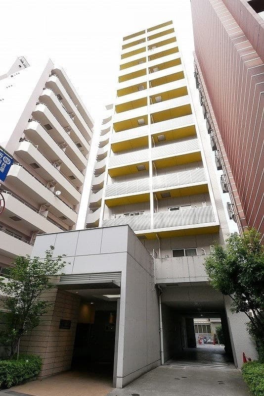 Main Image