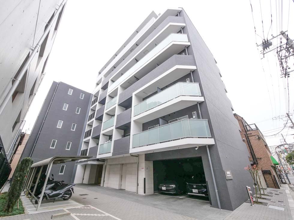 Main Image