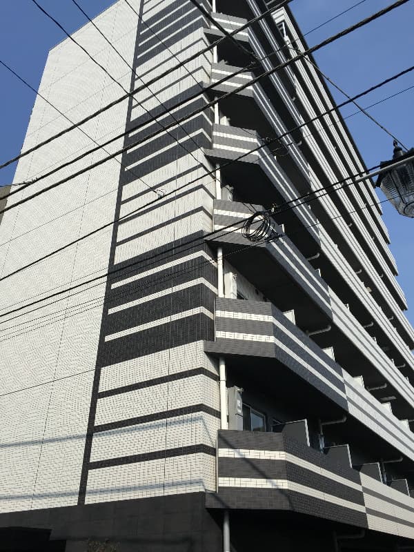 Main Image