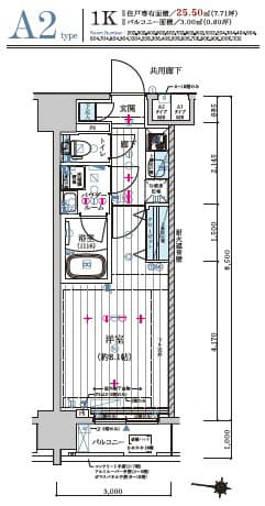 Room Image 2245244