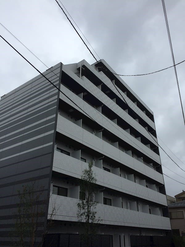 Main Image