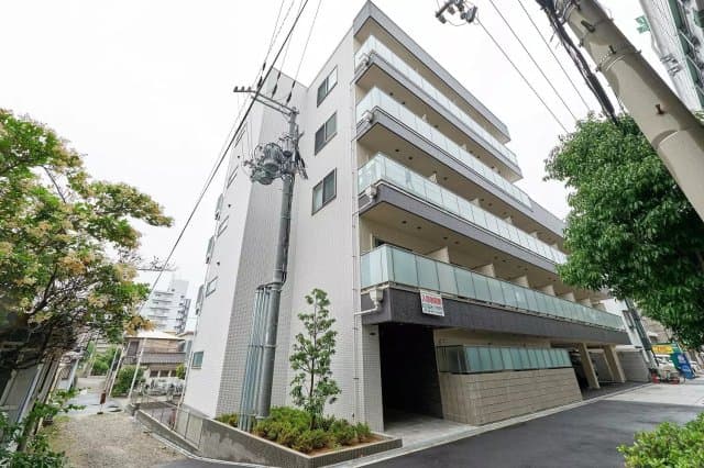 Main Image