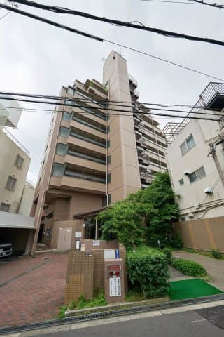 Main Image