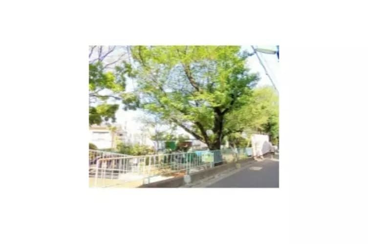 Room image 11