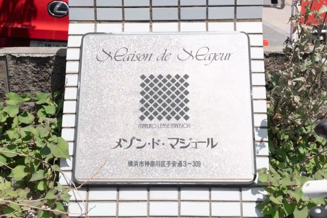 Main Image