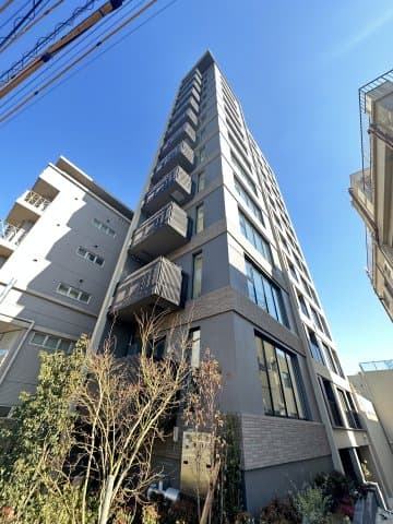 Main Image