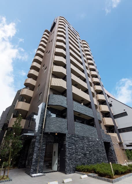 Main Image