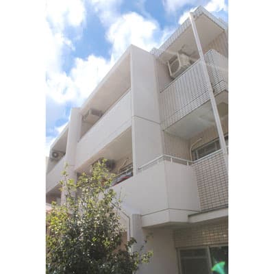 Main Image