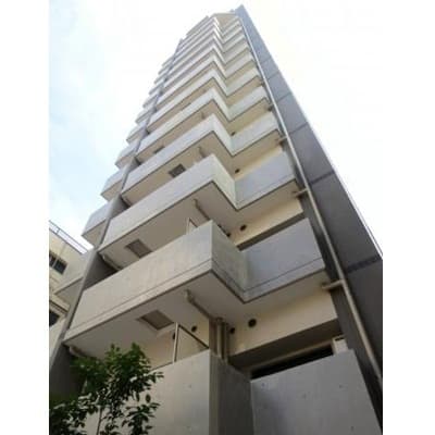 Main Image