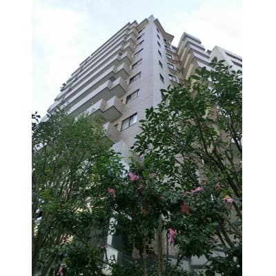 Room Image 2255571