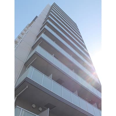 Main Image