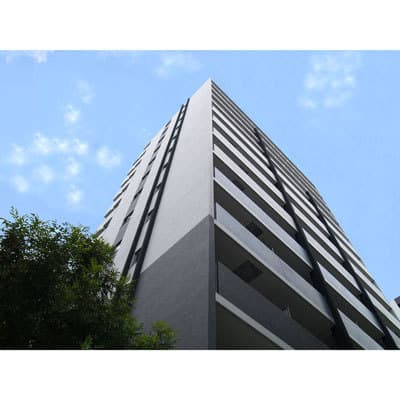 Main Image