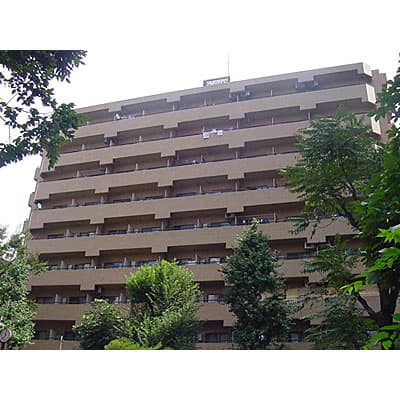 Main Image