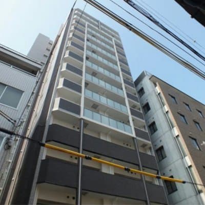 Main Image