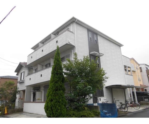 Main Image