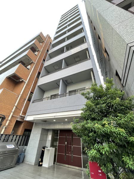 Main Image