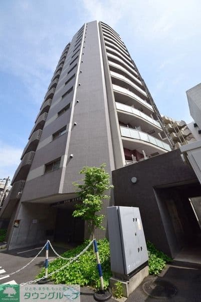 Main Image