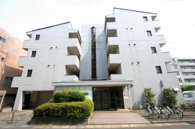 Main Image