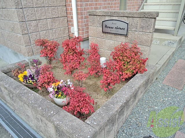 Room image 14