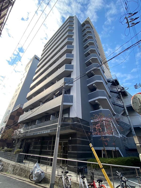 Main Image