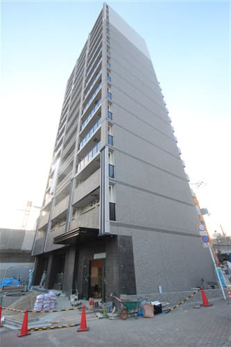 Main Image