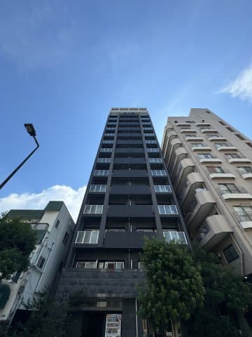 Main Image
