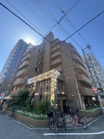 Main Image