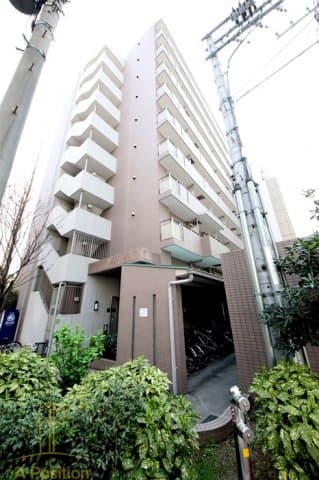 Main Image