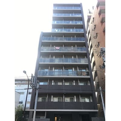 Room Image 50153805
