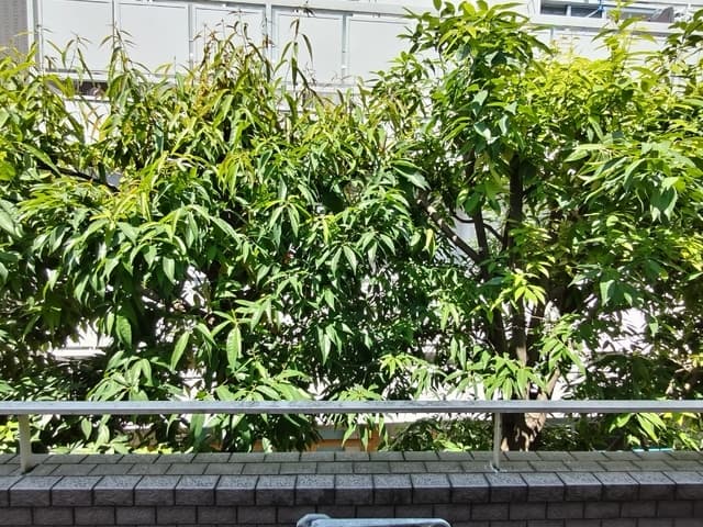 Room image 14