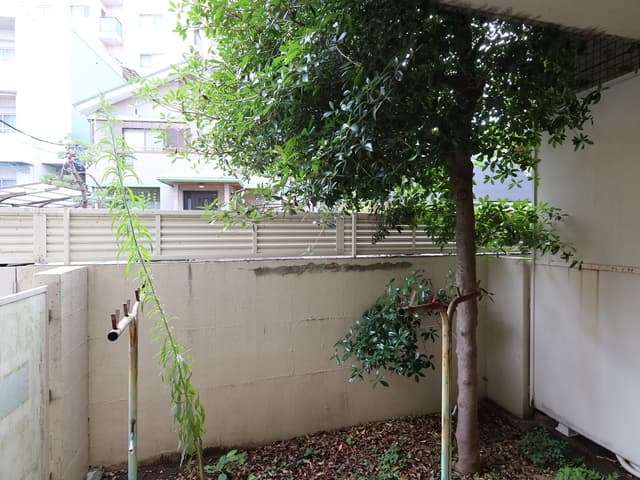 Room image 12