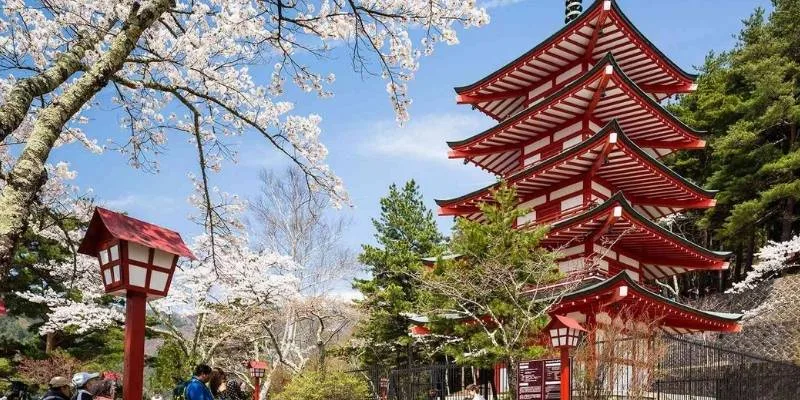 Best Months to Move Apartments in Japan