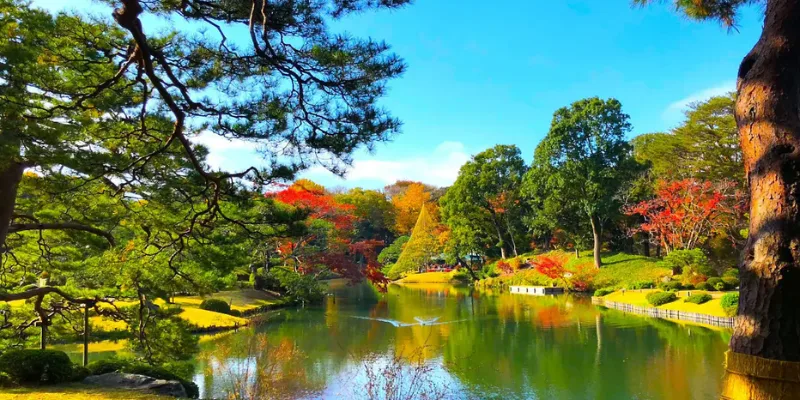 Bunkyo City: Why This Cultural Hub is Tokyo's Top Choice for Expats and ...